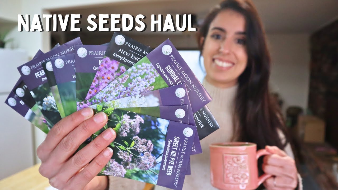 Unboxing Native Seeds Order for 2025 + Next Year's Garden Plan Updates 🌱