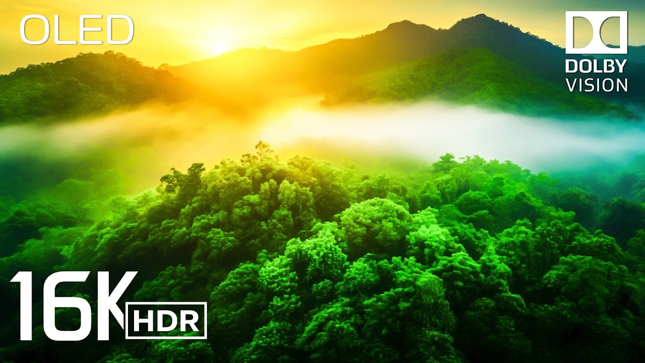Best of 16K HDR Video - INSANE Dolby Vision (8K / 4K Video TV TEST)