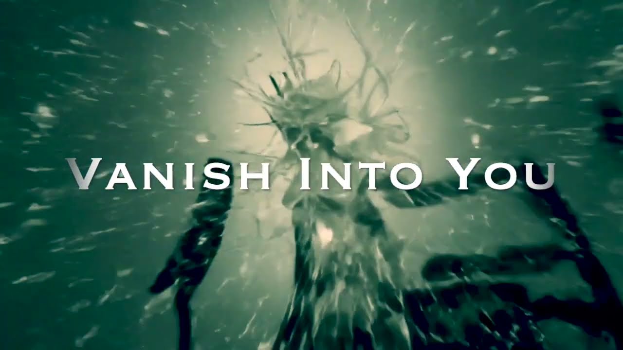 Vanish Into You - Lady Gaga (Violin Cover)