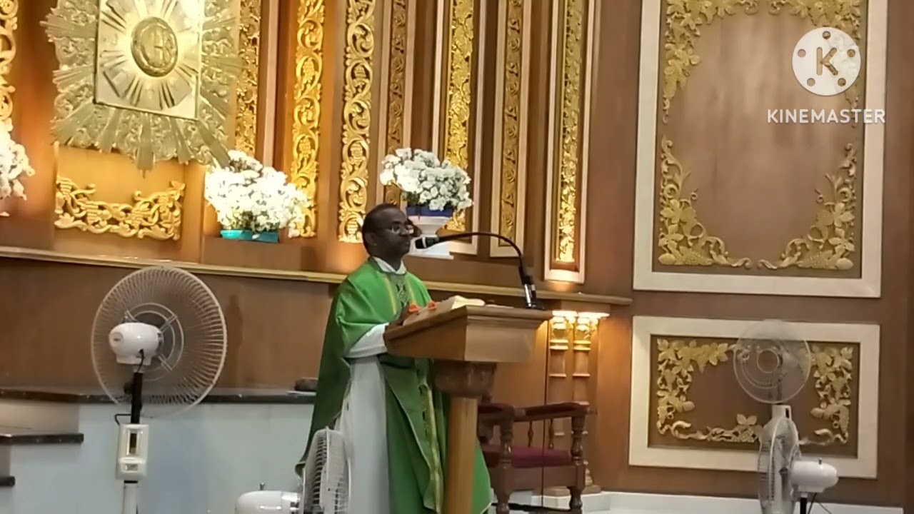 இவர் யாரென்று எனக்கும் தெரியாதிருந்தது (எசா 49:3,5-6 1கொரி 1:1-3 யோவான் 1:29-34) 2026 ஜனவரி 18