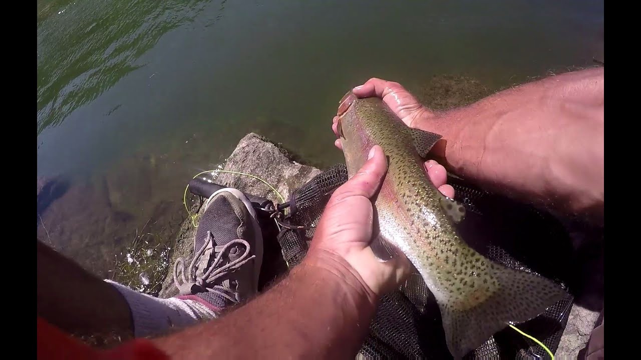 Just a little Keiryu for you setup and fishing #keiryu #tenkara #flyfishing #trout #fish #outdoors