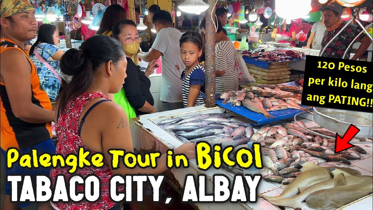 Palengke Tour in TABACO CITY | Walk Tour Around Tabaco City Public Market of Albay, Philippines
