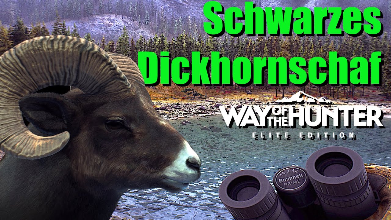 Way of the Hunter Gameplay Deutsch - #38 - Schwarzes Dickhornschaf Jagen !