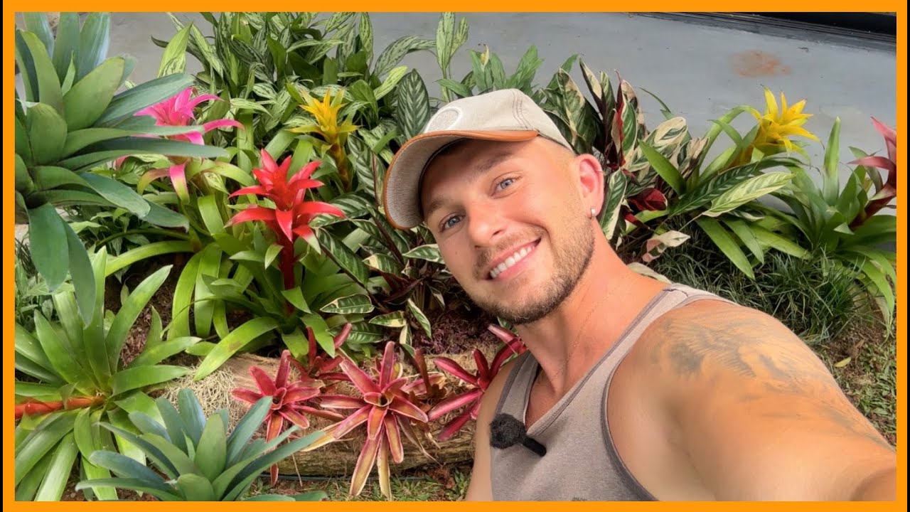 🌿 COMO CRIAR um JARDIM do ZERO – FICOU LINDO | Henrique Buttler