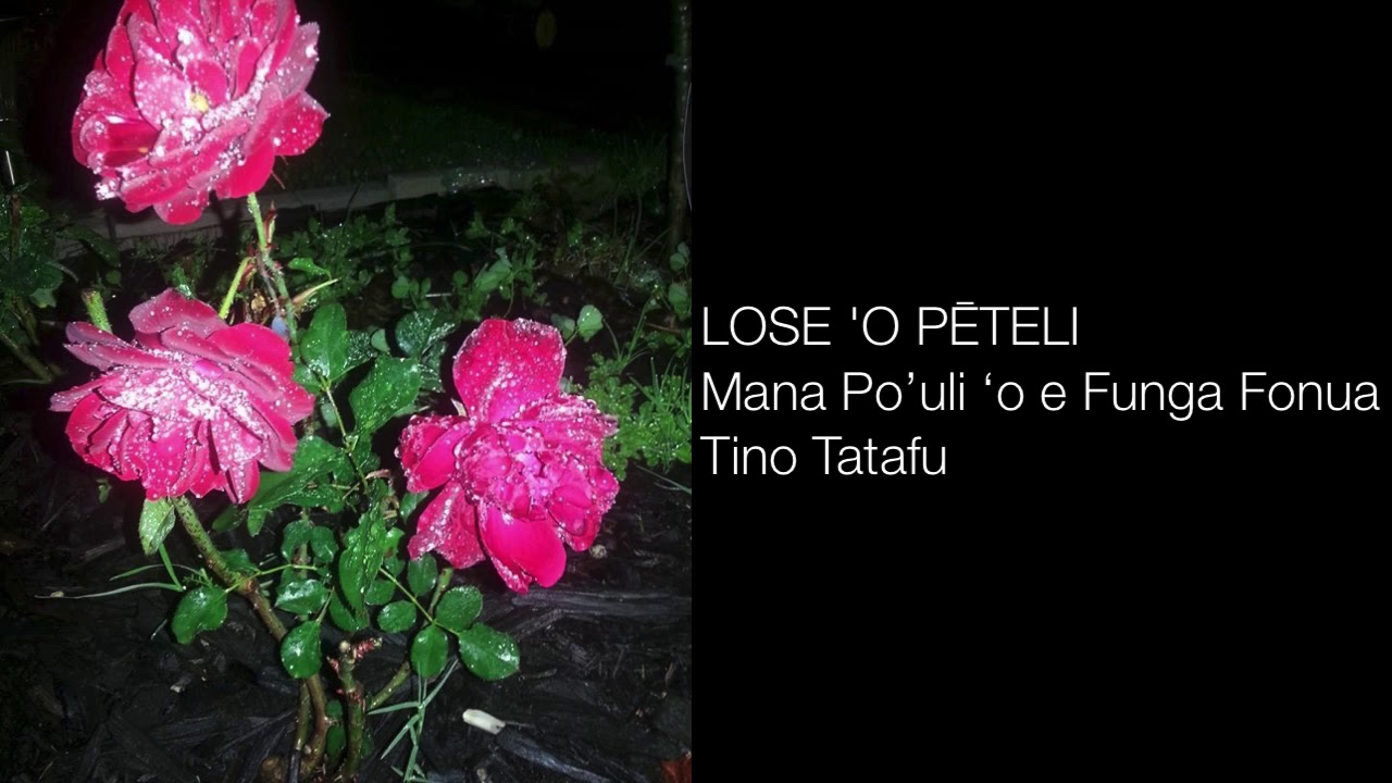 LOSE 'O PĒTELI