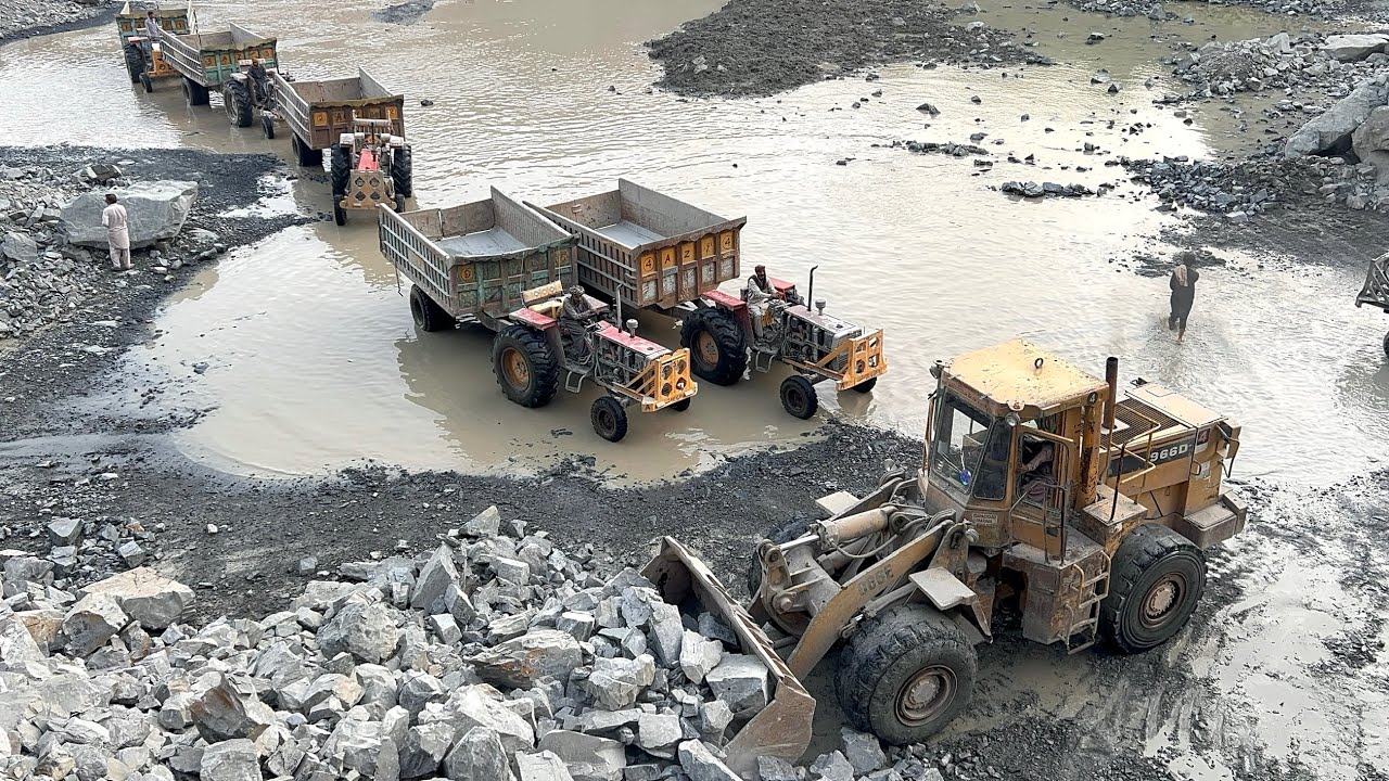Massive Rocks Loading into Trolleys And Dumpers | Caterpillar Machine in Full Power!