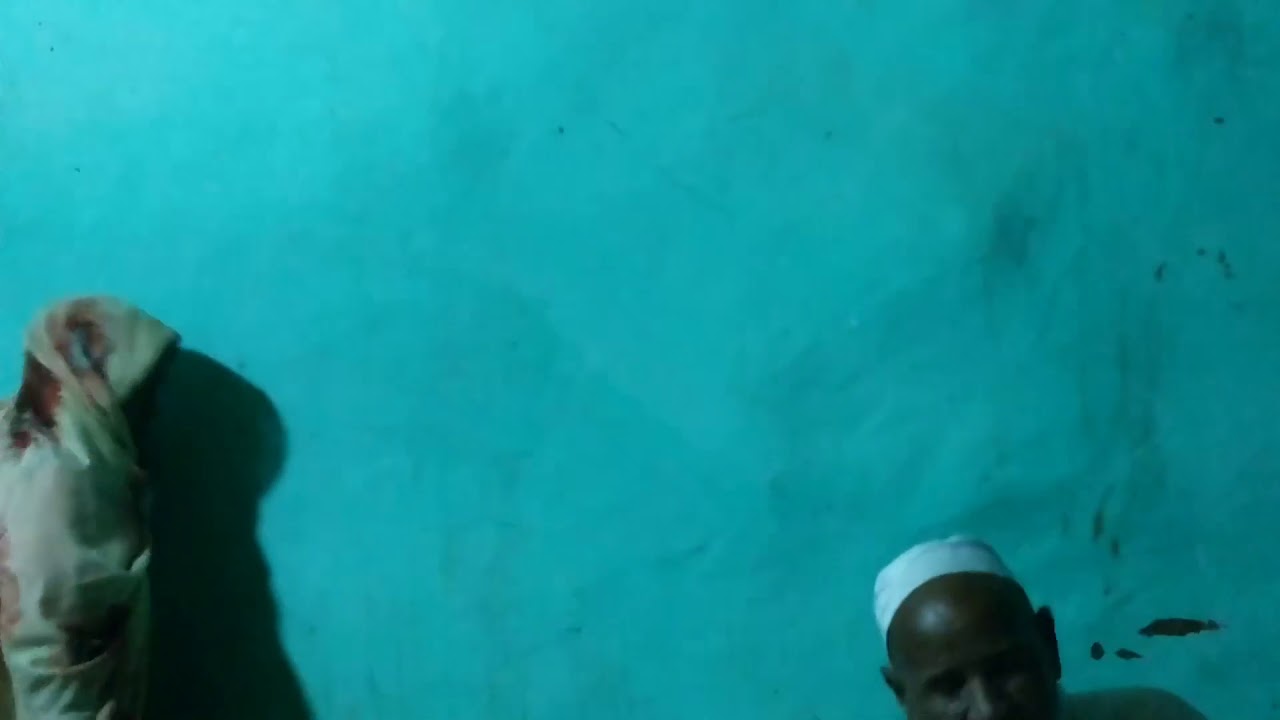 إنشاد في حضرة العارف بالله الشيخ محمد ودالزاكي