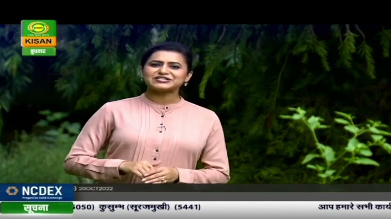 Chhat Par Bagwani : How To Make And Care Mini Bonsai