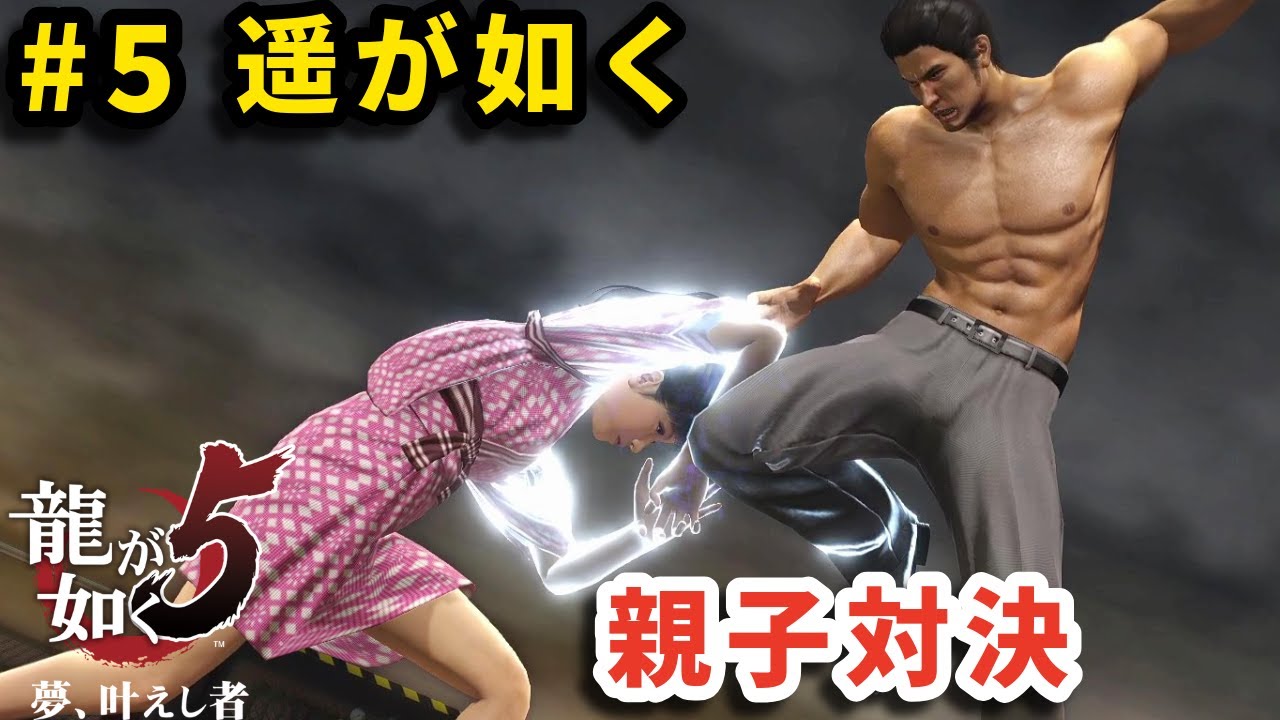 遥で日本全国一人旅【東京編前半】【龍が如く5】【Haruka Combat Restoration】