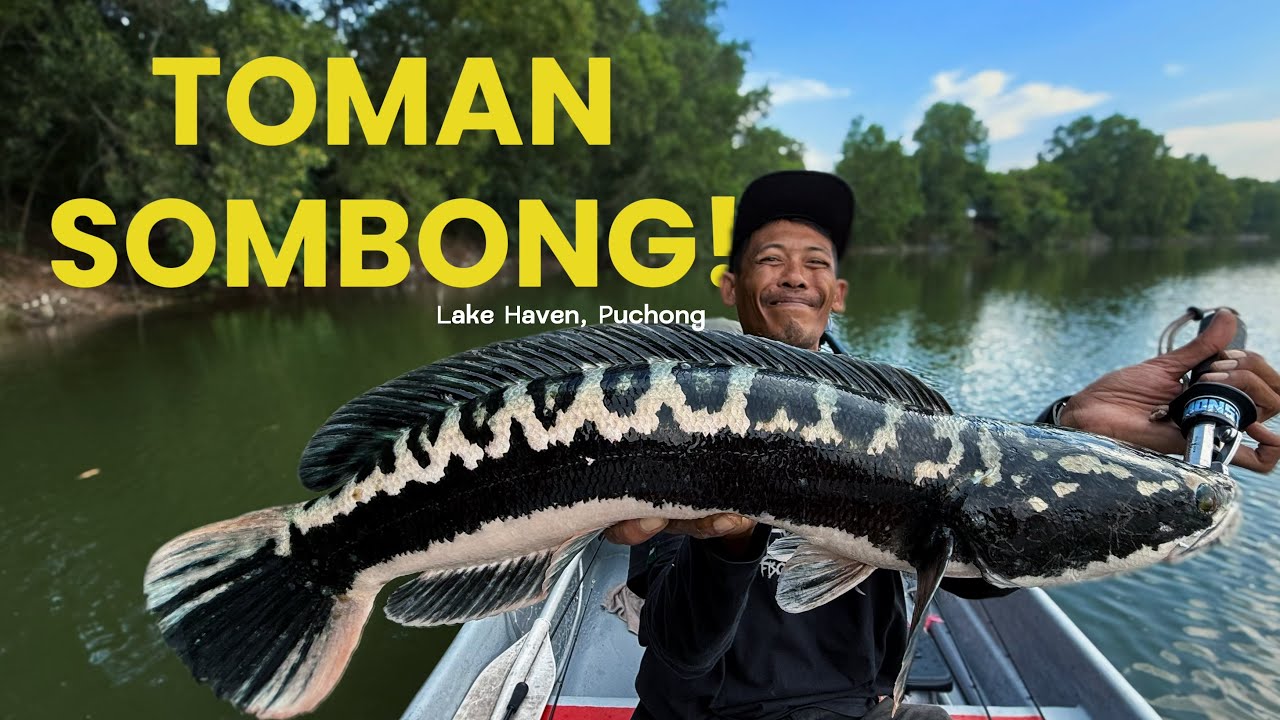 🎣 EP 8 | TOMAN PADU DI LAKE HAVEN | BONE VOYAGE X ABU GARCIA STX