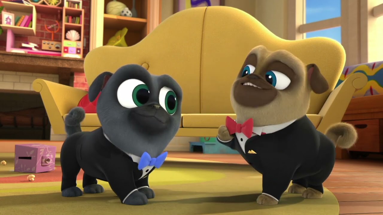 Puppy Dog Pals – Clip | Bob and Ana's Wedding | Disney Jr