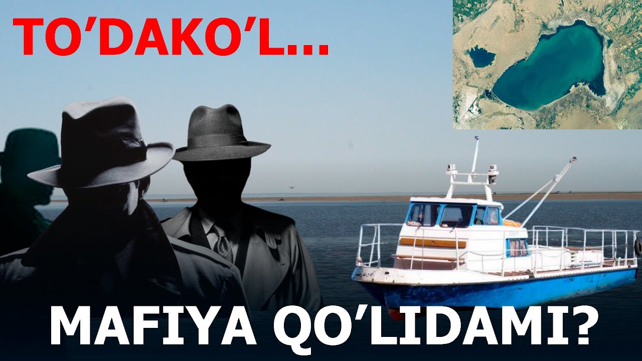 TO'DAKO'L MAFIYA QO'LIDAMI? |  ТЎДАКЎЛ МАФИЯ ҚЎЛИДАМИ?