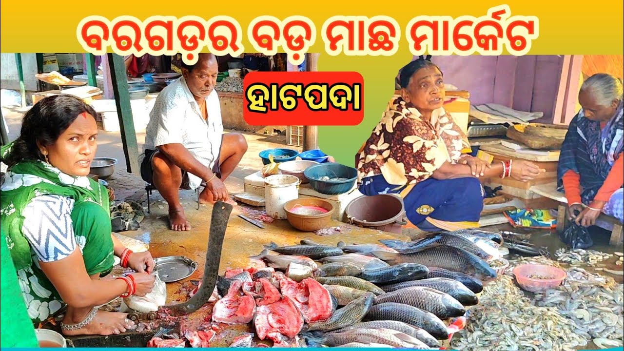 ତାଜା ମାଛ ମାର୍କେଟ ହାଟପଦା, ବରଗଡ଼ (Fish Market Hatpada,Bargarh)