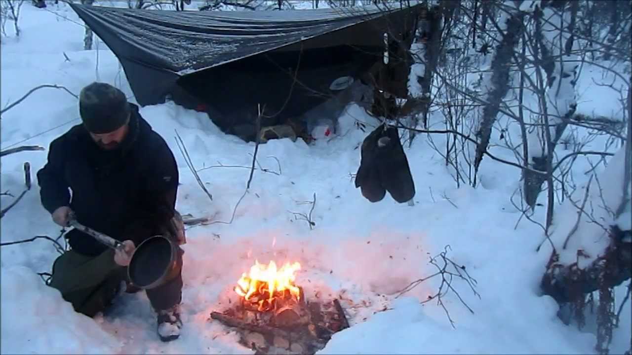 Winter Hamocking in the Woods