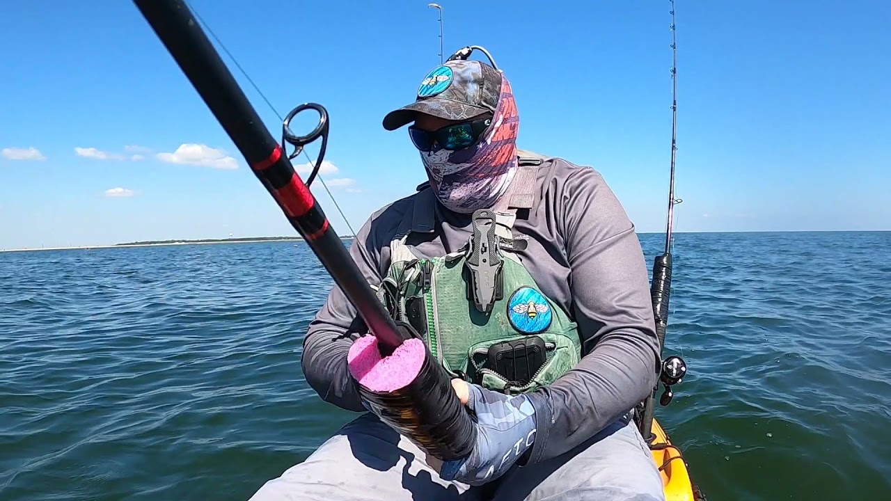 Upper Texas Coast Sharks!