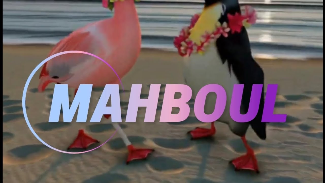 MAHBOUL 