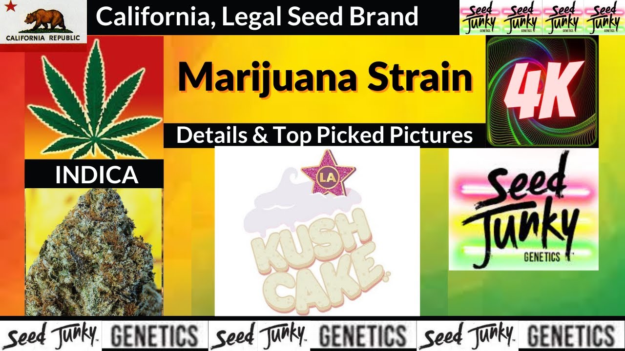 La Kush Cake Seed Junky Genetics Details