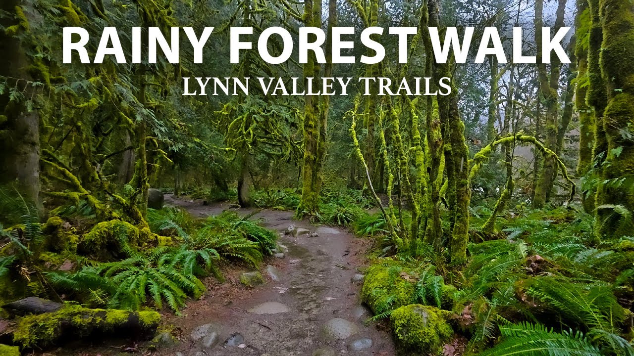 Peaceful Rainy Walk in a Lush Forest, North Vancouver BC Canada