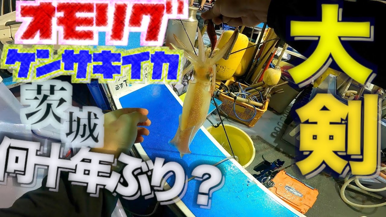 【オモリグ】茨城県にケンサキイカが来たって本当？しかも大剣サイズが釣れるってよ！