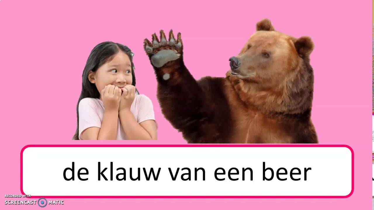 leren lezen - groep 3 - woorden en zinnen (Thema 4 Lijn 3)