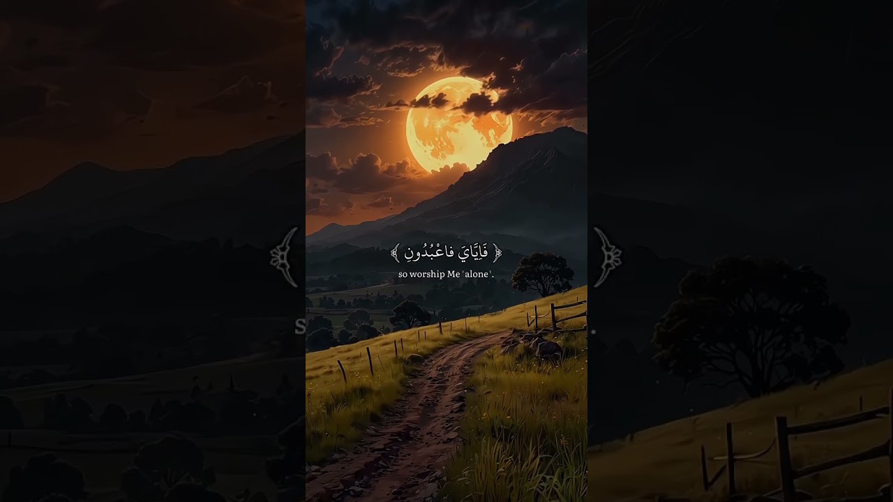 A most viral recitation of the world #beautifulrecitation #viralrecitation #peacefulvoice