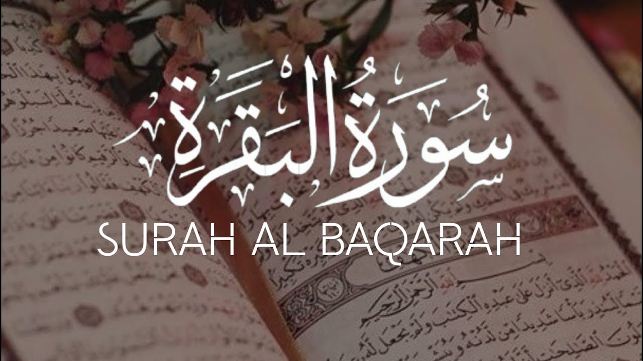 🔴 LIVE | Surah Al-Baqarah Full Recitation | Soothing Quran Tilawat for Peace & Protection