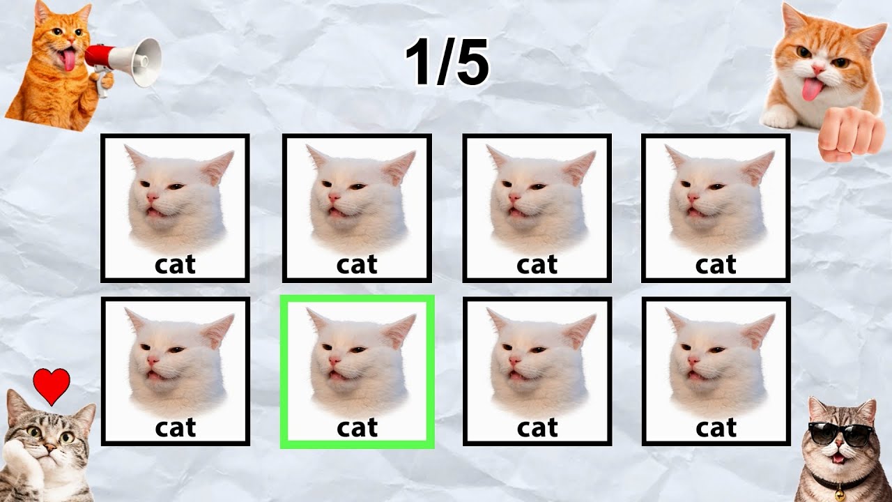 Say The Word On Beat 🐱 Cat Meme Challenge | Can You Stay On Beat?