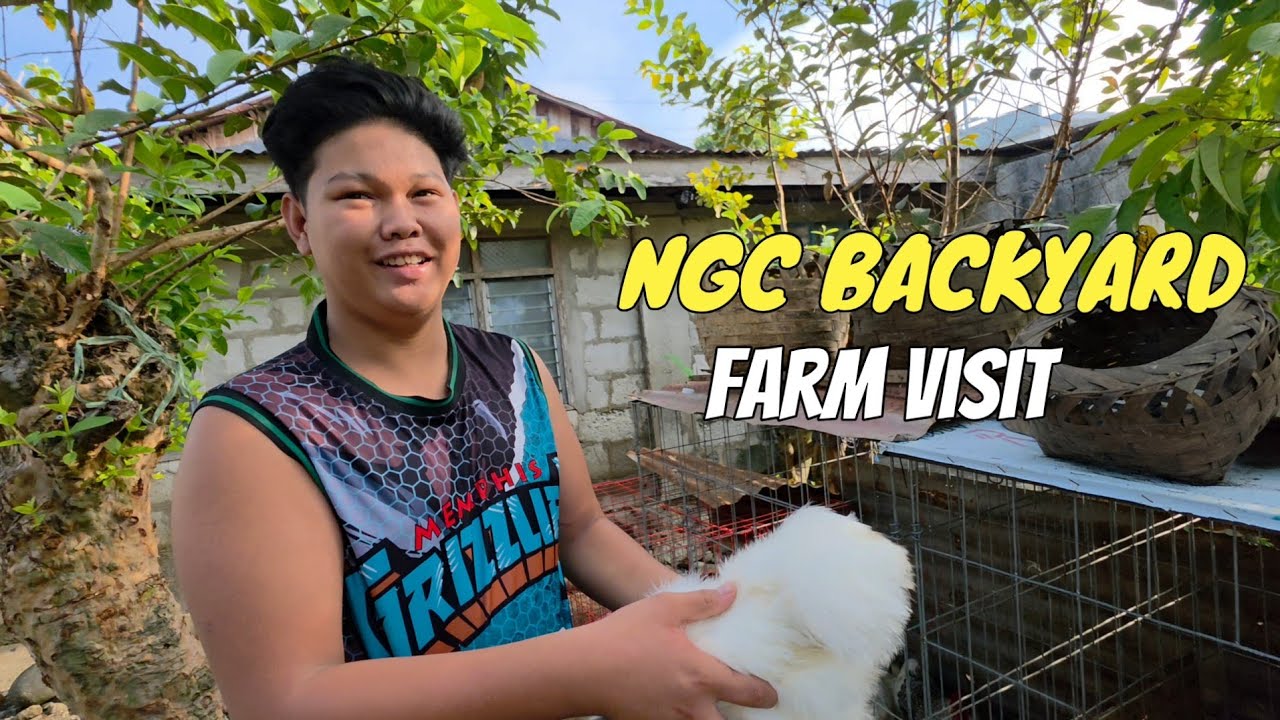 16 Years old, kumikita ng pera habang nag-aalaga ng show Type Chickens | Entongs World