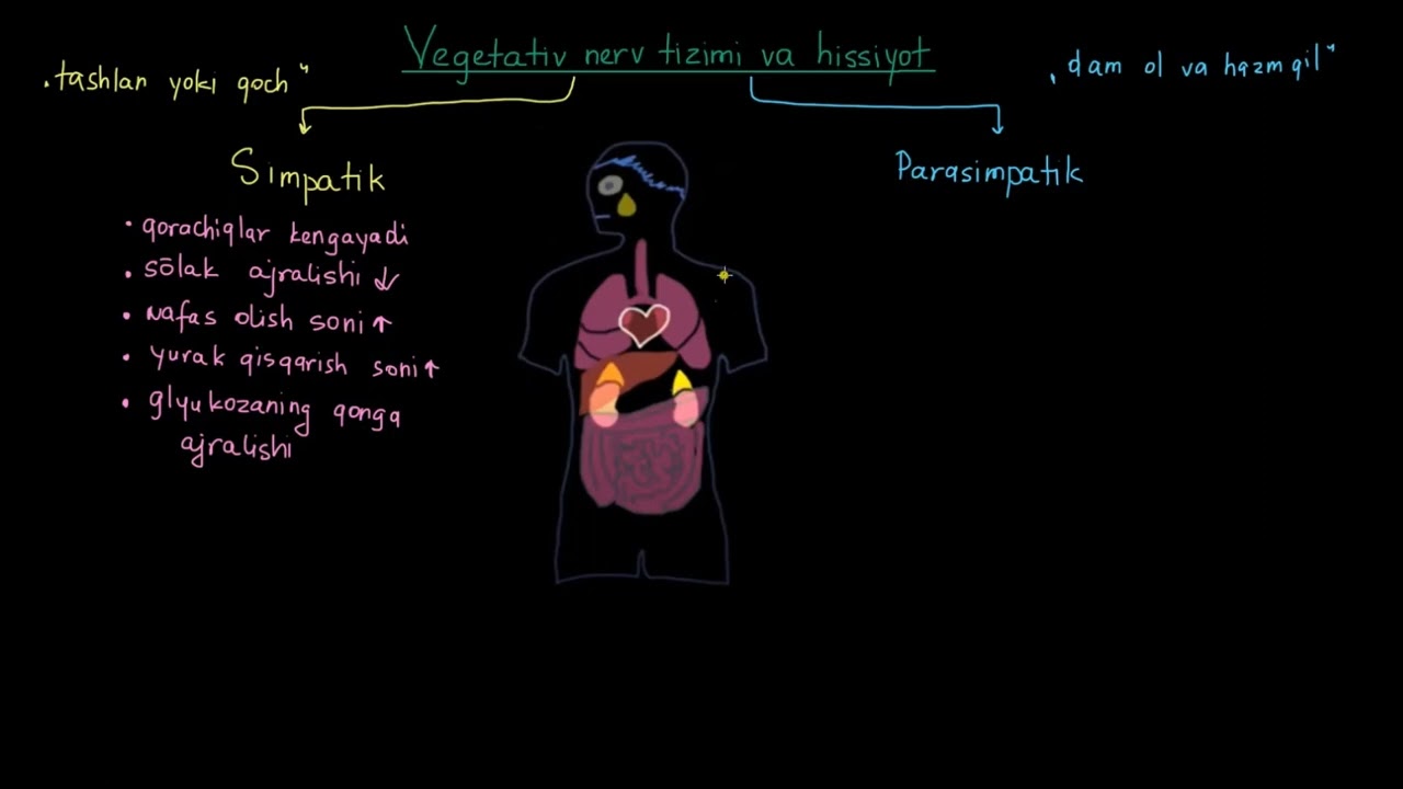 Avtonom nerv tizimi va hissiyotlarning fiziologik markyorlari | Tibbiyot