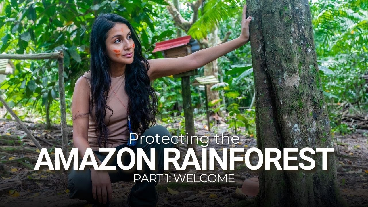 Amazon Series Introduction: Why Every Human on Earth is Connected to the Rainforest