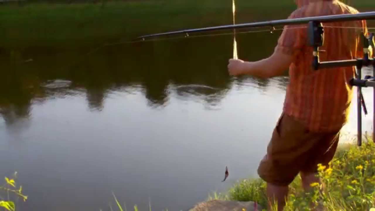 Let´s Fish, 24h Aktion im Hafen auf Aal und Friedfisch. #003 (HD) oder Der mit dem Aal Tanzt!