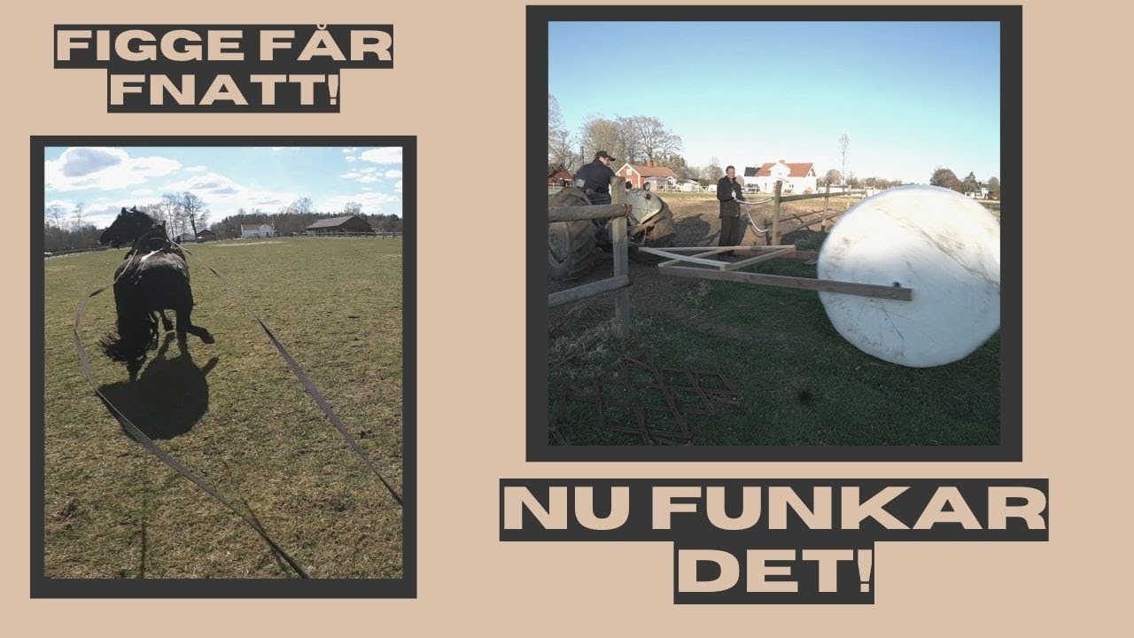 Kör Figge och drar fram en ny bal