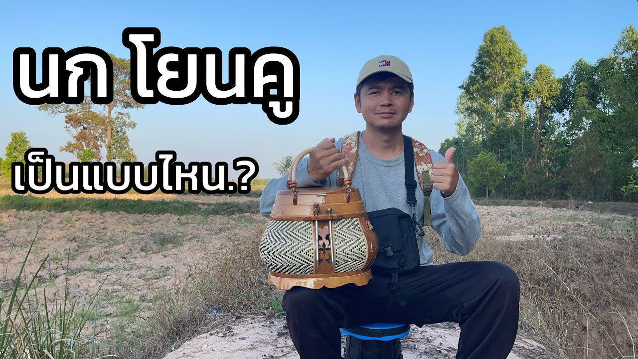 นกขัน“โยนคู” เป็นแบบไหน? และข้อดี มือใหม่ถามกันเข้ามา ชายน้ำเอาให้ดู #นกเขาใหญ่ 