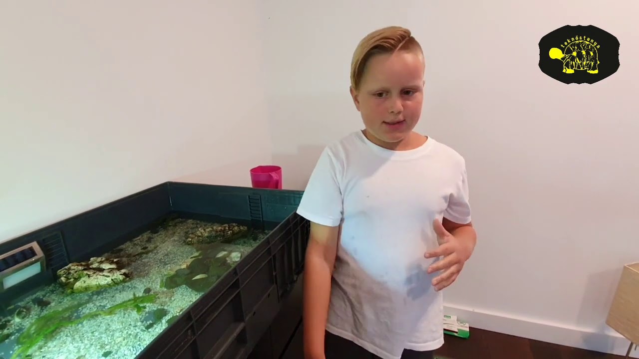 Töki és Pötyi beköltözik a téli helyére!