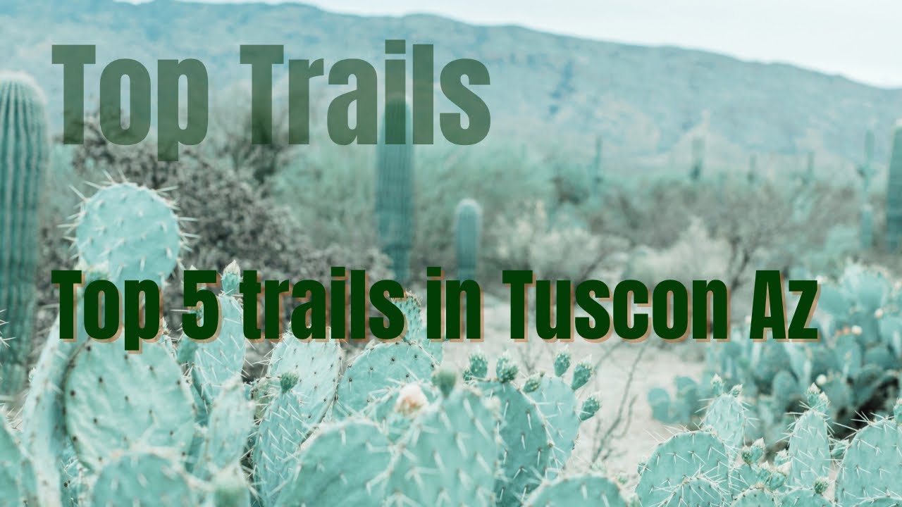 Top 5 Trails in Tucson, Az.