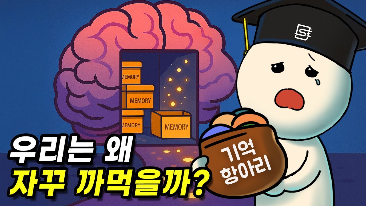 왜 사람은 어떤 건 기억하고, 어떤 건 잊어버릴까?