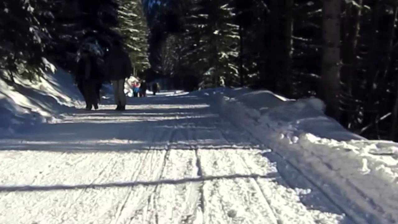 Sledding at the Obere Firstalm