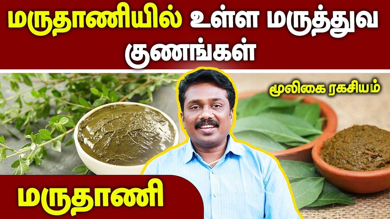 மருதாணியில் உள்ள மருத்துவ குணங்கள் ! மூலிகை ரகசியம் | MOOLIGAI RAGASIYAM | @megatvindia