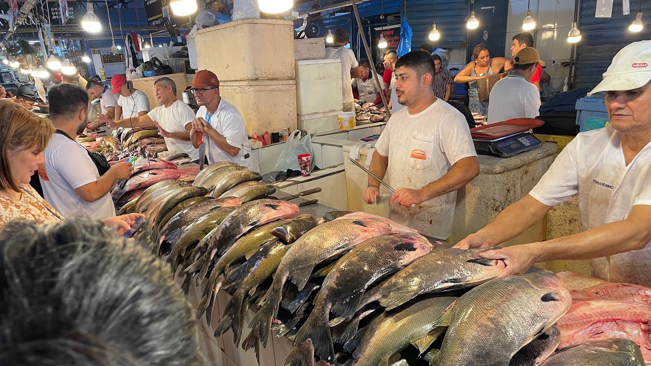 FARTURA DE PEIXES FRESCOS FEIRA MANAUS MODERNA- Manaus-Am.