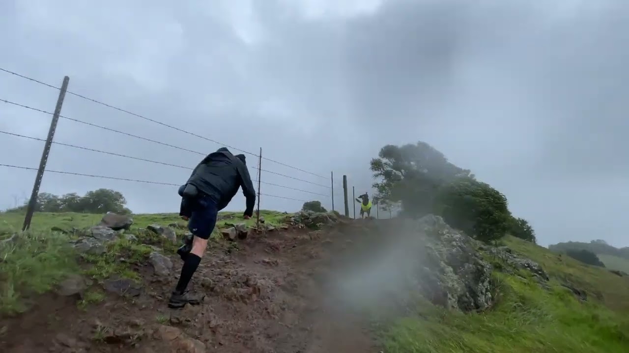 What I do for fun: Running the spine of Mt. Burdell in 70 mph wind.