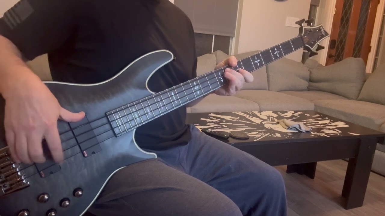 The science of selling yourself short by Less Than  Jake bass cover.