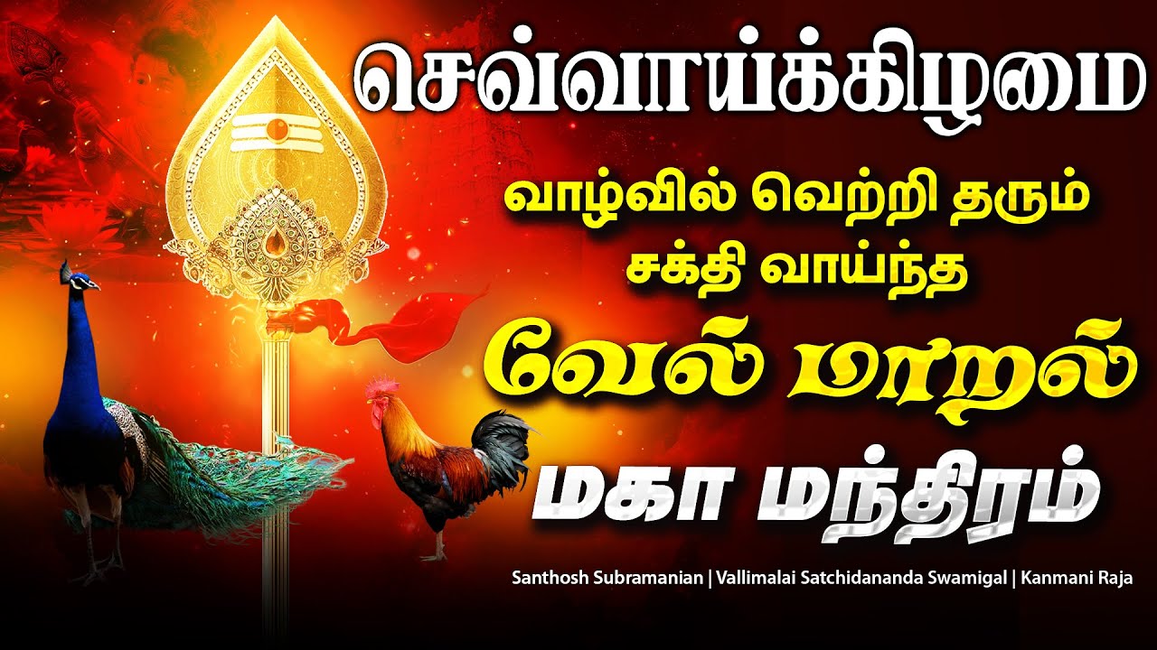 🔴LIVE SONGS | வியாழக்கிழமை மிகவும் சக்தி வாய்ந்த திருச்செந்தூர் வேல் மாறல் மகா மந்திரம் Murugan