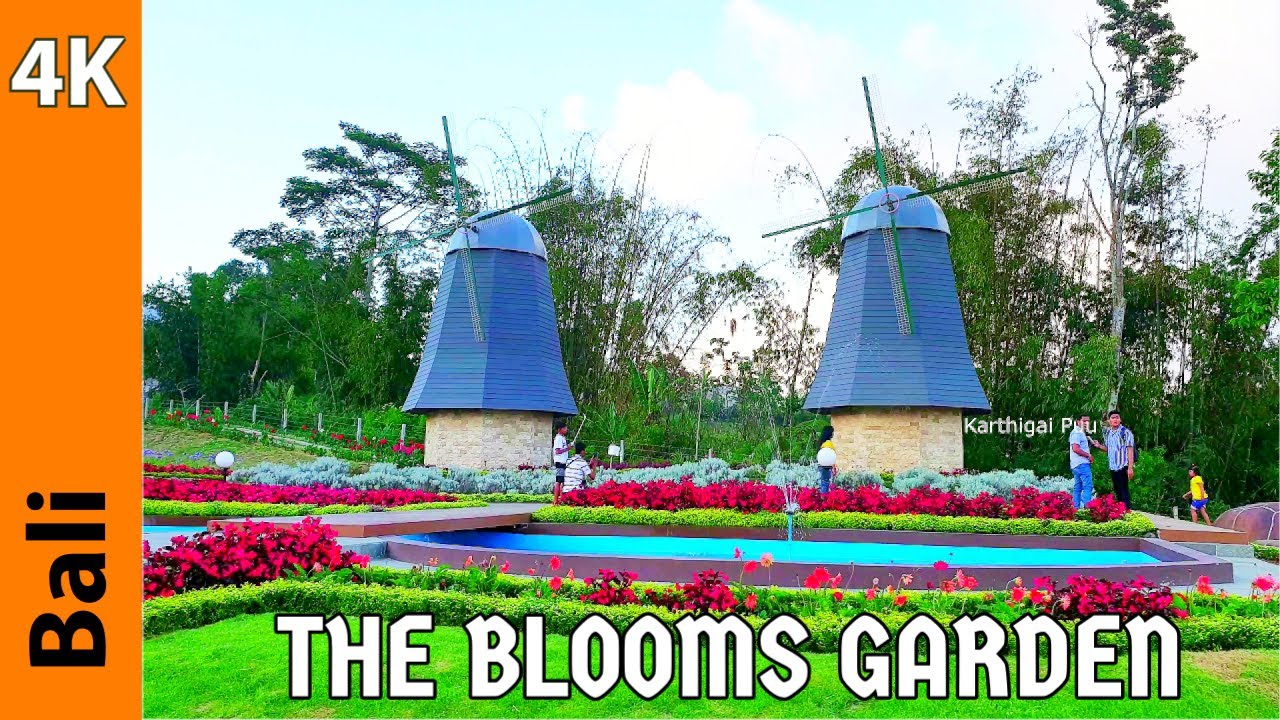 The Bloom Garden | Bedugul Bali