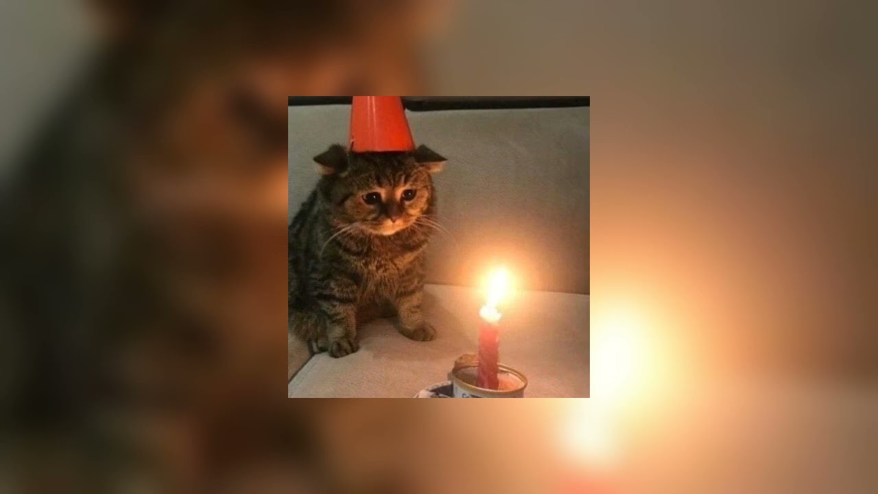 HBD - che ecru (sped up)