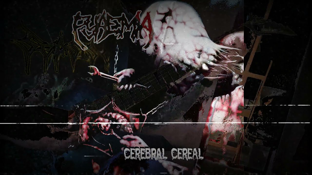Pyaemia - Cerebral Cereal (guitar cover)