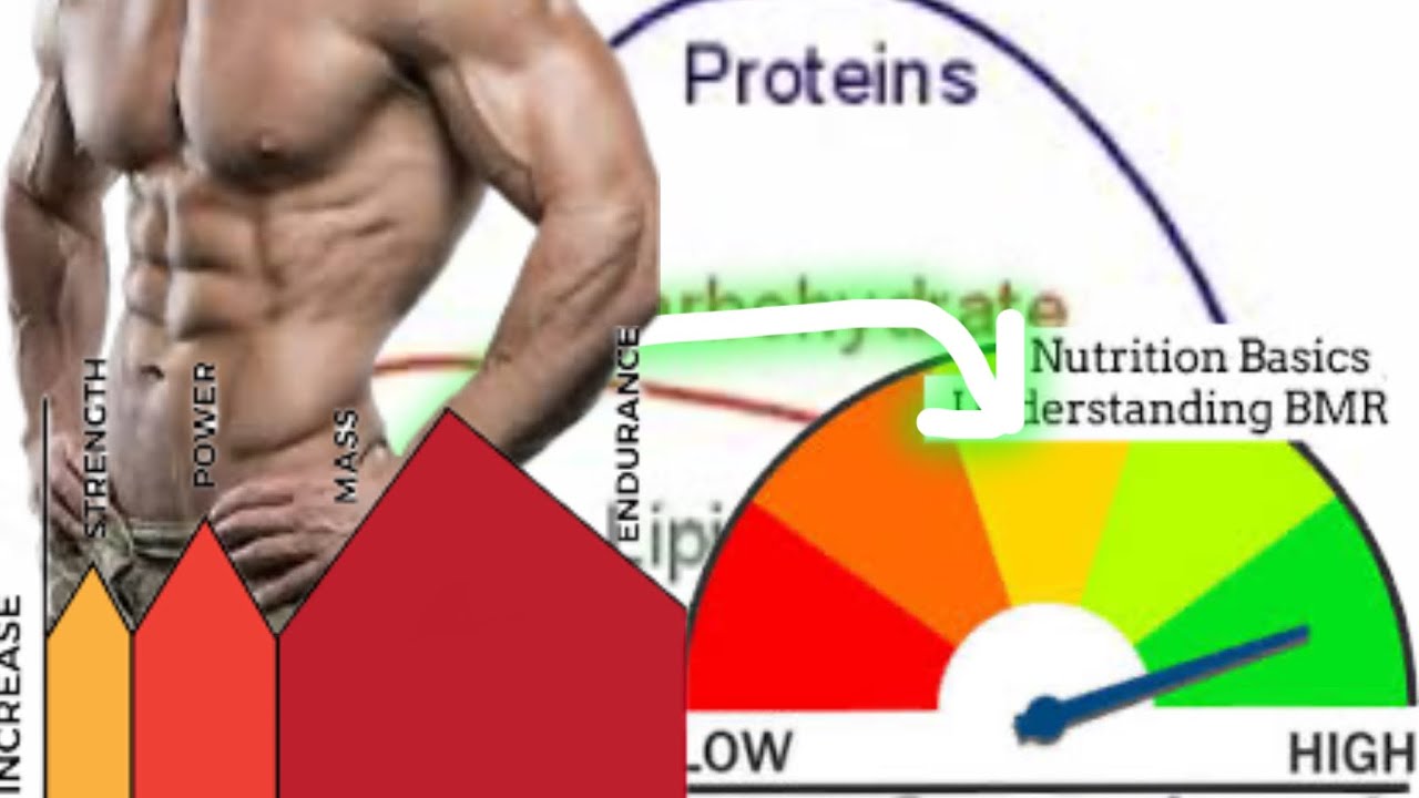 When is Efficiency Counter-Productive? | Optimizing Metabolic Rate