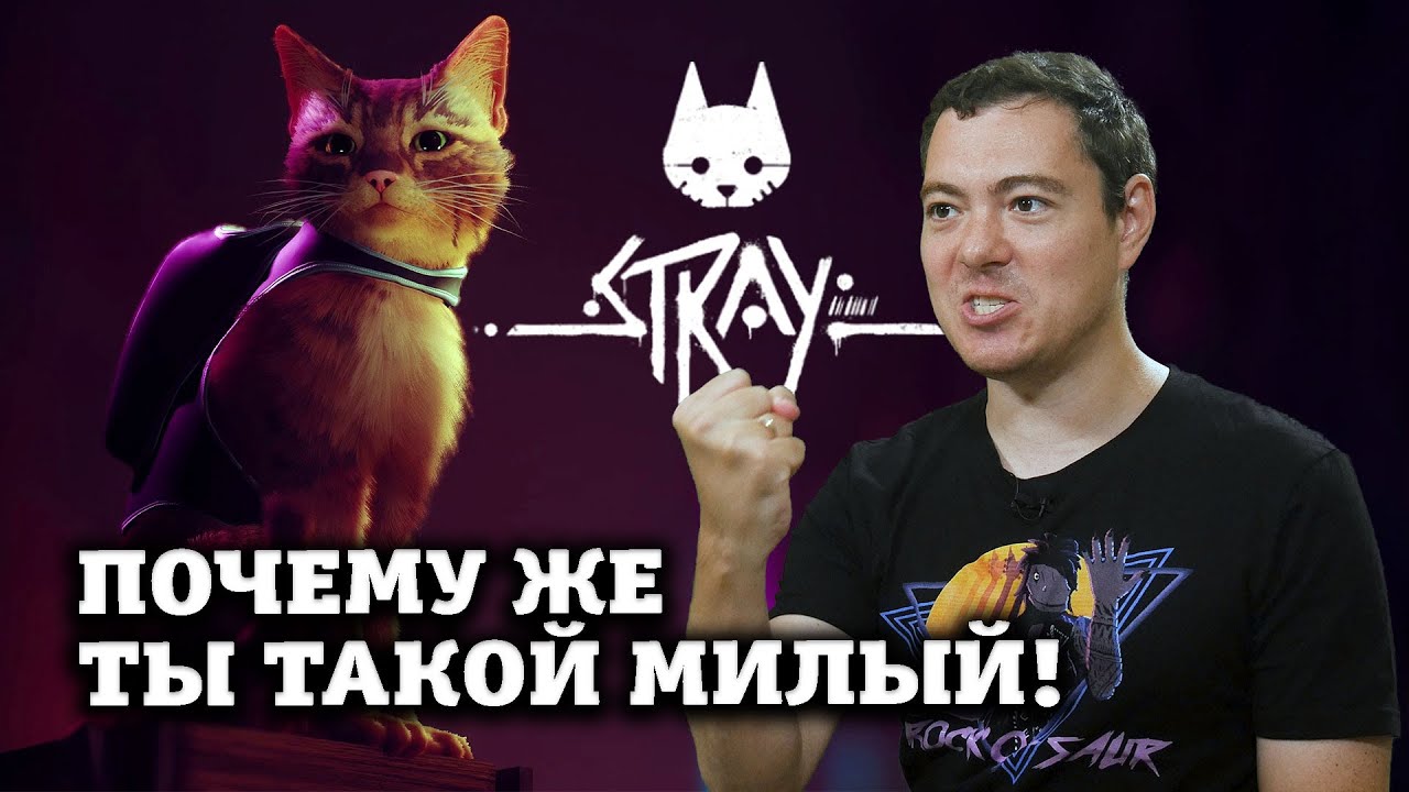 Stray Review - Do Cats Dream of Electric People? I Broken Pixel
