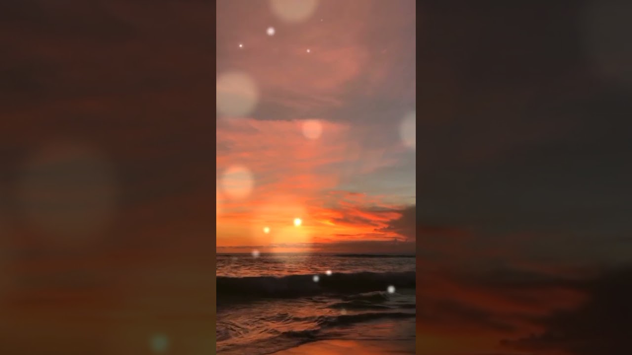 pma gafoor new whatsapp status #malayalam #motivation #pma #pmagafoor #pmagafoornew