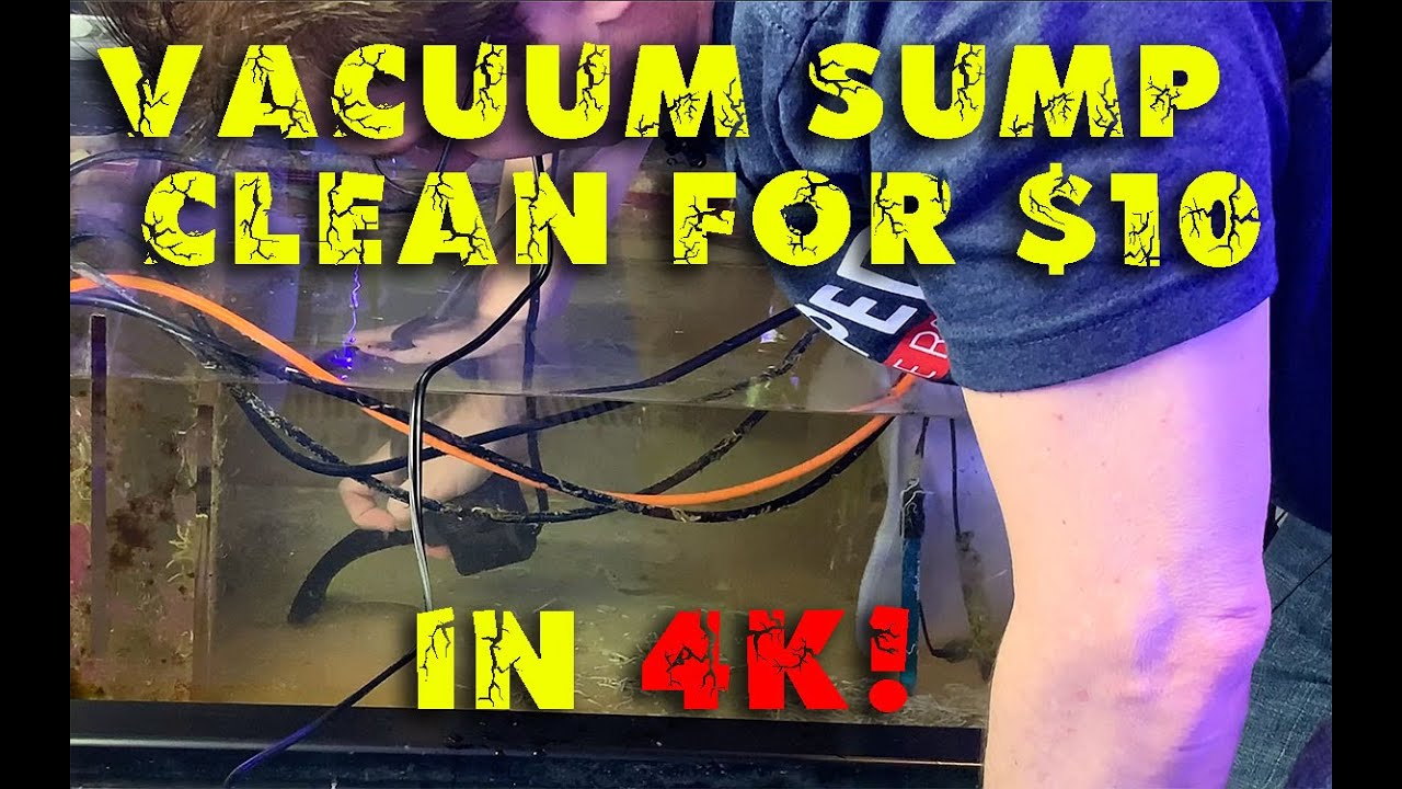 VCA's MJ1200 Vacuum attachment put to the test (in 4k!)
