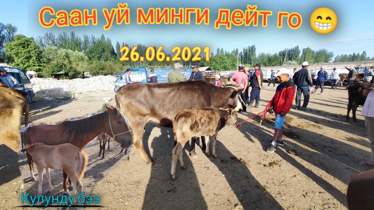 Куршаб мал базары! Саан уйду минги дейт го 😁 26.06.2021
